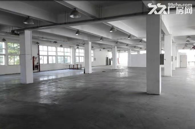 集中工业区 同安园 三楼厂房 900平米原房东出租-图1