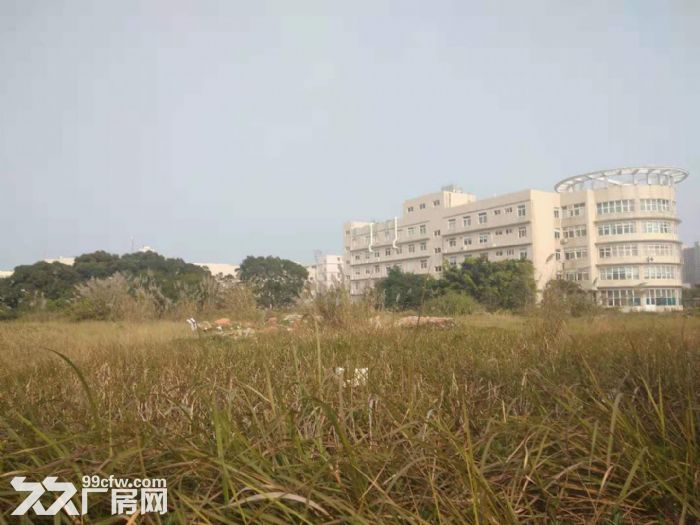 翔安火炬园一期独门独院60000平方框架厂房招租-图1