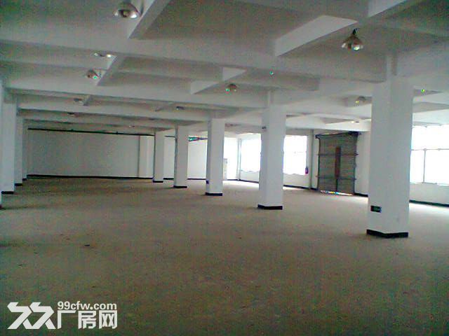 灌口标准1楼厂房500平出租-图1