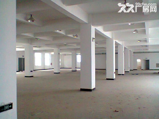 灌口标准1楼厂房500平出租-图2