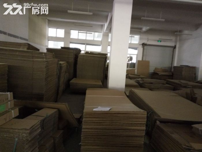 同安集中区标准厂房2000平租13元/平-图3