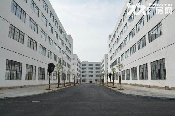 集美工业区独门独院25000平招租-图1