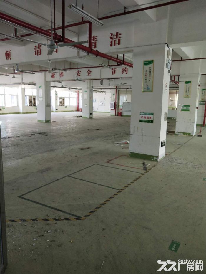 出租湖里火炬路独独院三层4000平-图3