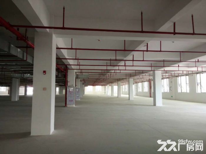 后溪工业组团附近标准1楼厂房1000平出租-图1