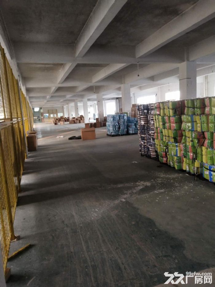 杏林标准厂房二楼1600平出租-图1