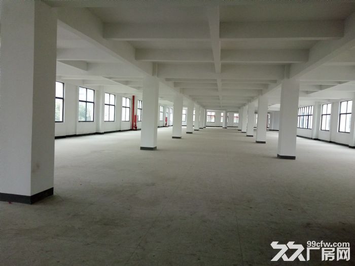 同安食品园1楼2楼每层2300平-图1