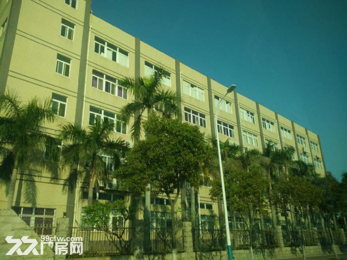 海沧标准厂房30000平方，出口加工区15000平方出租（可分租）-图1