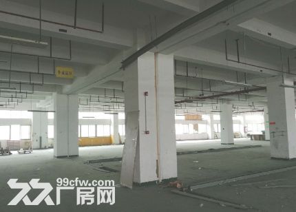 后溪工业区标准厂房独幢每层3200出租-图3