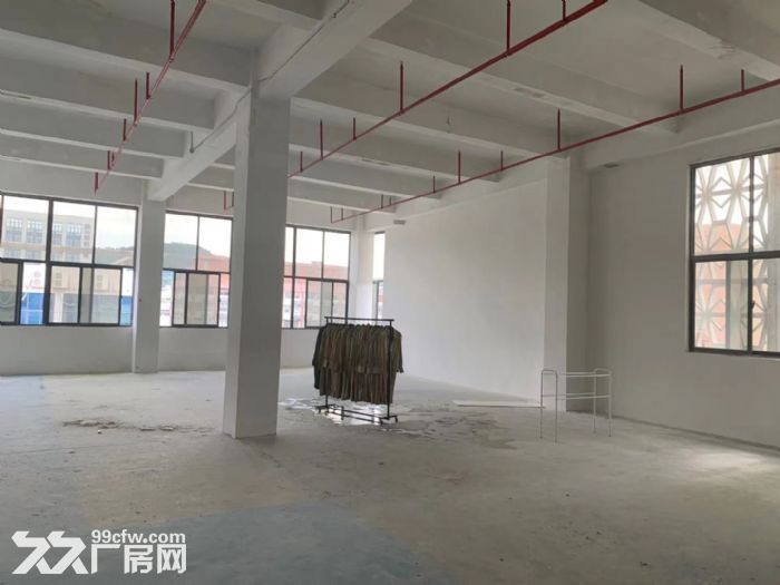 整栋可出租 一楼2300平 有卸货台 大车可进 行业多样-图6