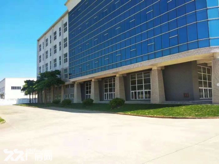 翔安洪溪南路 厂房 5000平米出租-图1