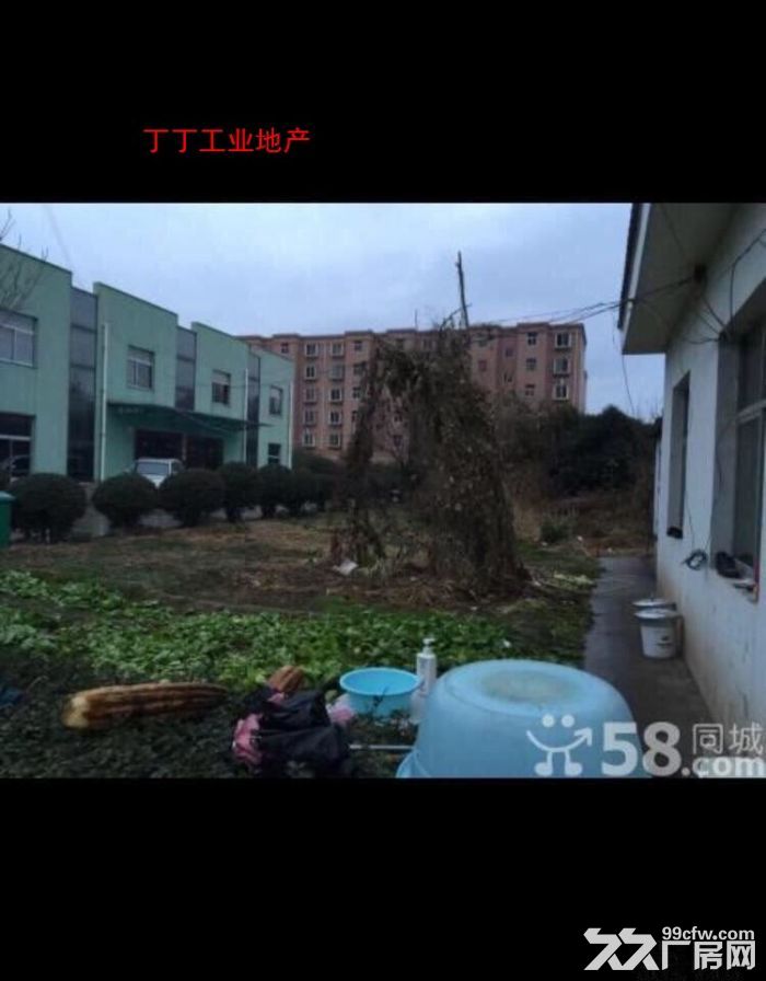 现有厂房出租零租或 出售 13330平米-图4