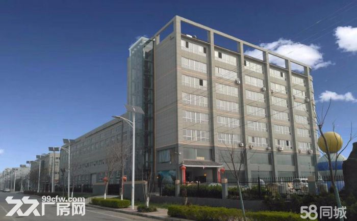 高铁新城一二层厂房，办公楼平价出租  -图3