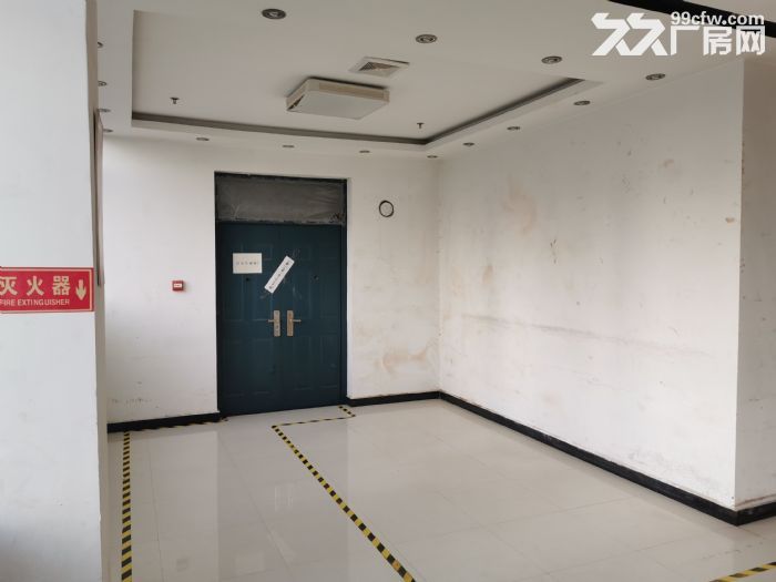 高新区厂房招租，现已清空，随时可入驻-图2