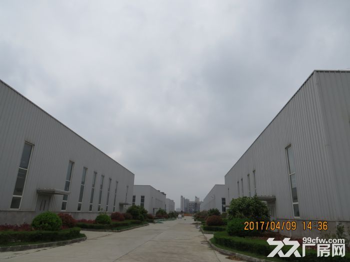 全新钢构厂房(6000−10000平方米)出租，各单体有独立产权证，证照齐全。-图2