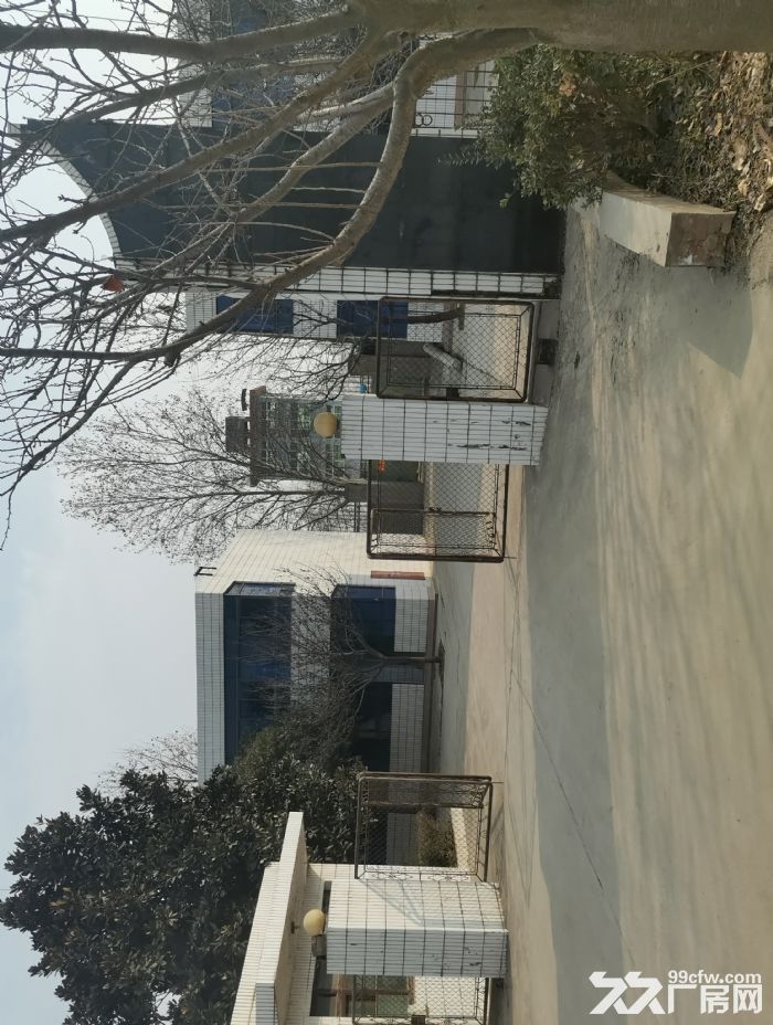 鄠邑区余下工业区有厂房出租-图1
