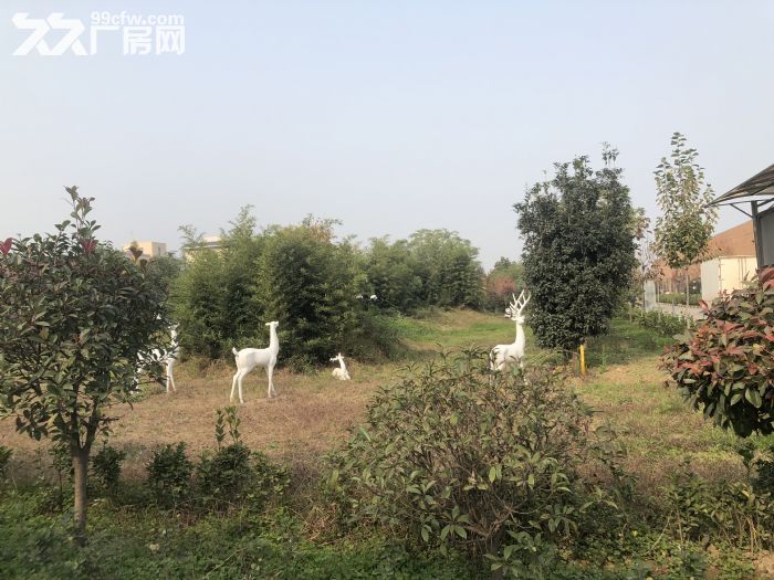 西安食品工业园2000平方厂房出租手续齐全-图2