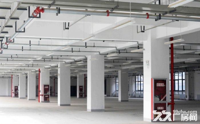 标准化工业园区厂房现房招商-图2