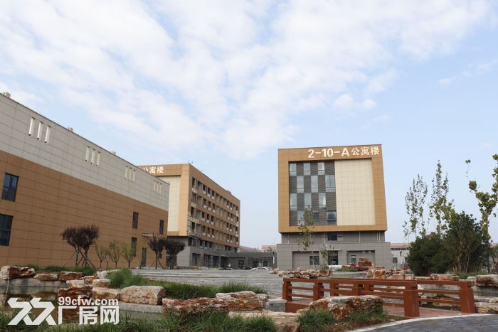 标准化工业园区厂房现房招商-图3