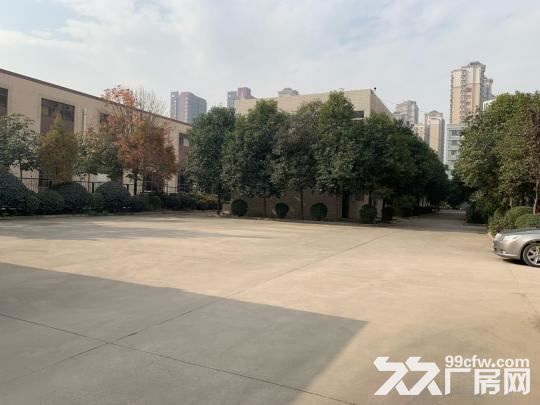 高新管委会旁独楼楼房两层1300平米占地7亩出租-图4