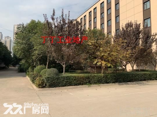 高新管委会旁独楼楼房两层1300平米占地7亩出租-图2