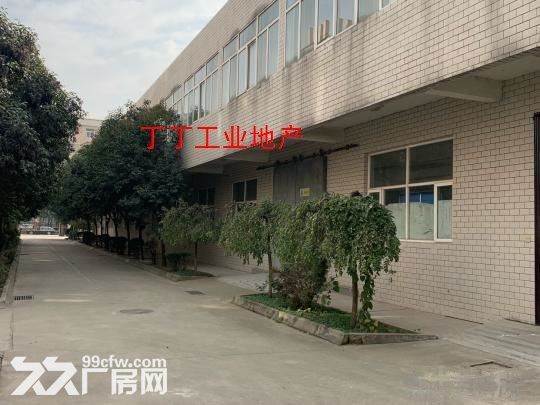 高新管委会旁独楼楼房两层1300平米占地7亩出租-图1