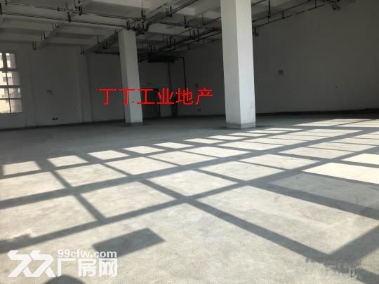高新区西部大道一层260平厂房丰泽科技园400平-图1