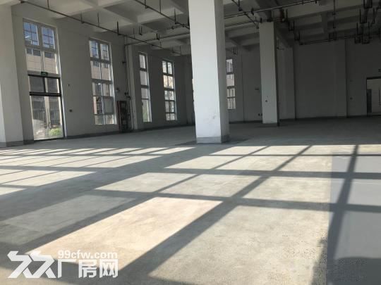 高新区西部大道一层260平厂房丰泽科技园400平-图3