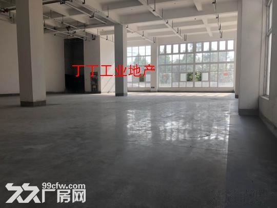 高新区西部大道一层260平厂房丰泽科技园400平-图2
