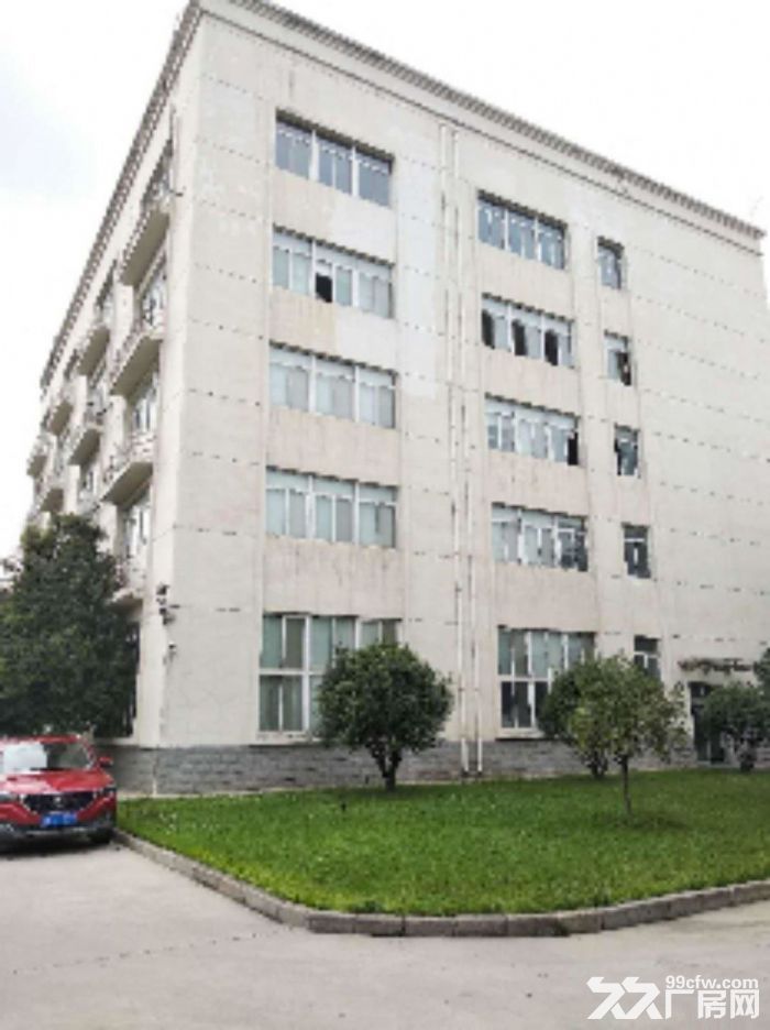 高新区西部大道独栋标准科研办公厂房4100平-图3