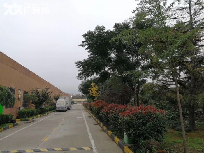 西安天龙健康产业基地3000平厂房18元/月出租-图5
