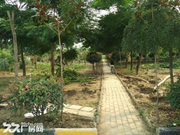 西安环山路附近3000平米食品厂房出租-图5