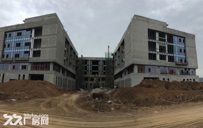 百万平米标准化厂房可租可售  拎包入住-图3
