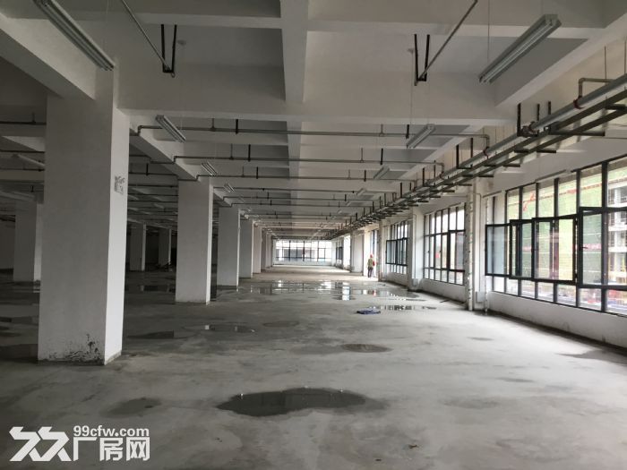 百万平米标准化厂房可租可售  拎包入住-图2