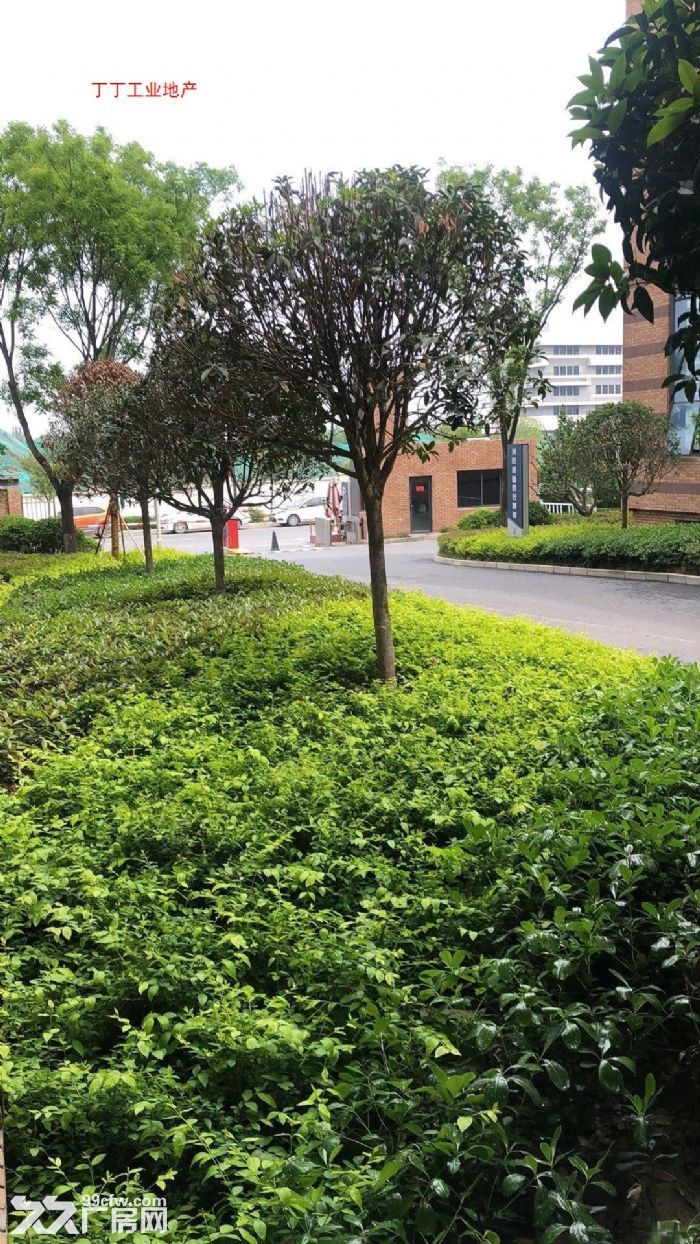 沣东新城标准工业园区政府示范工业园1000平-图1