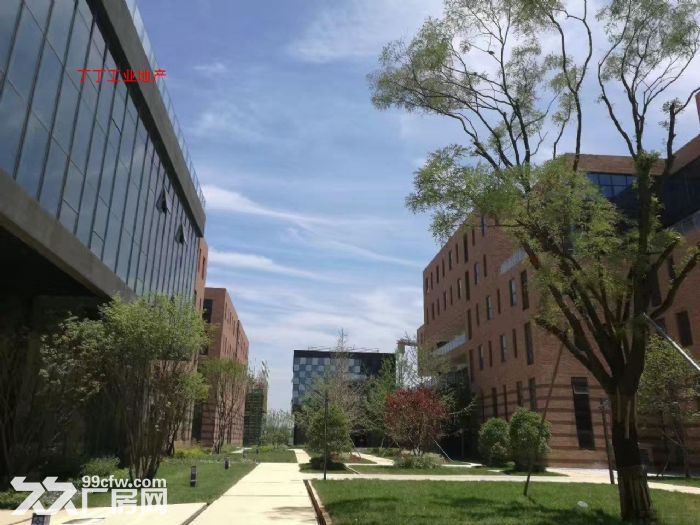沣东新城标准工业园区政府示范工业园1000平-图2