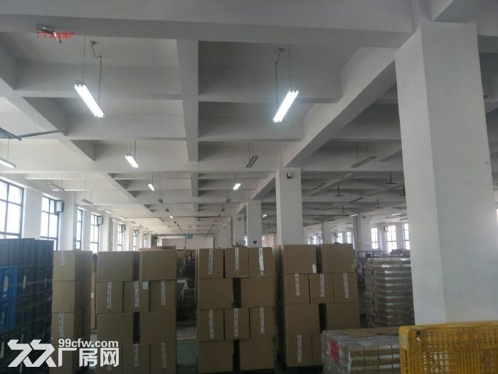 高新  独栋8000框架科研厂房出租-图1