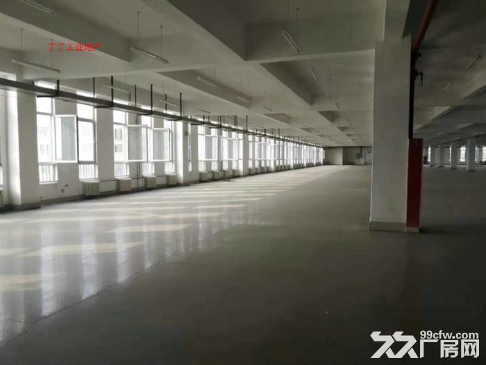 高新  独栋8000框架科研厂房出租-图3