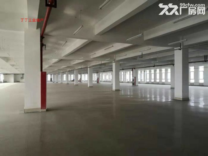 高新  独栋8000框架科研厂房出租-图2