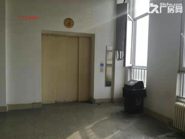 高新  独栋8000框架科研厂房出租-图4