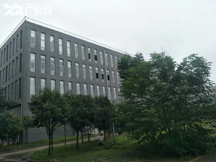 高新  独栋8000框架科研厂房出租-图5