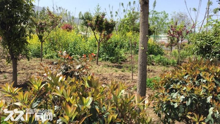 西安市环山路边1000平米标准厂房出租18元/月-图4