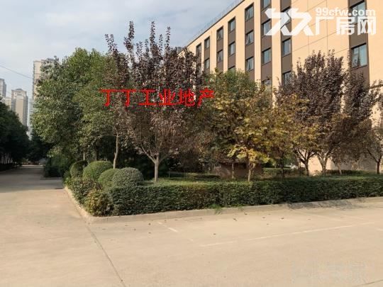 高新管委会旁独楼楼房两层1400平米上下两层有院子-图2