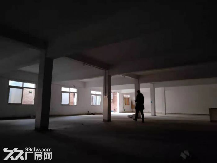 一楼厂房1000平出租-图2