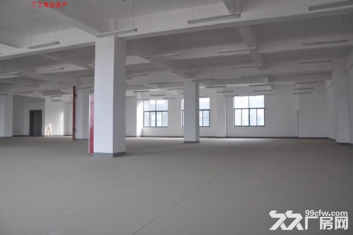 出租高新区科技企业加速器二区高新周边1800平简装修1层和2层-图7