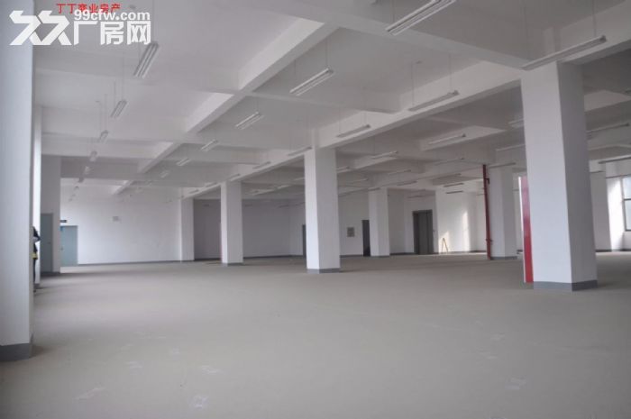出租高新区科技企业加速器二区高新周边1800平简装修1层和2层-图8