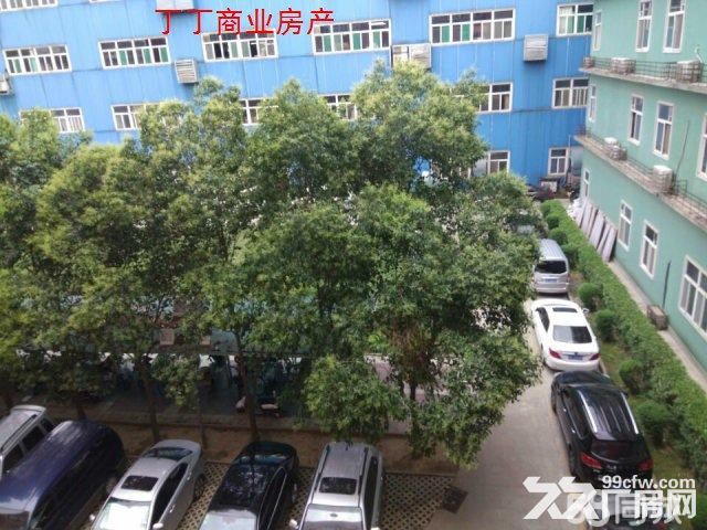 高新新型工业园精装修厂房出租260平精装修便宜出租-图2