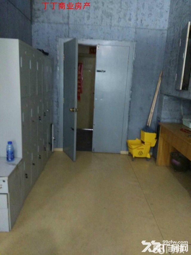 高新新型工业园精装修厂房出租260平精装修便宜出租-图5