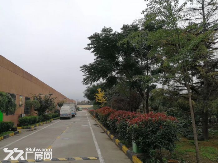 空厂房出租−直租(中介勿扰)-图3