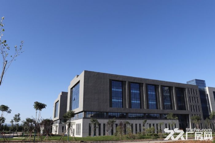 汽车产业聚集区 现房厂房来袭 可租可买可按揭-图2