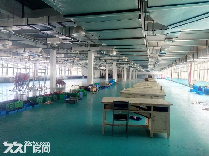 西部大道1500平的框架结构厂房可以分割出租-图1